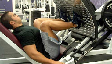 leg press