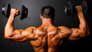 shoulder exercises for men