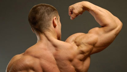 The Best Exercises To Build Big Shoulders