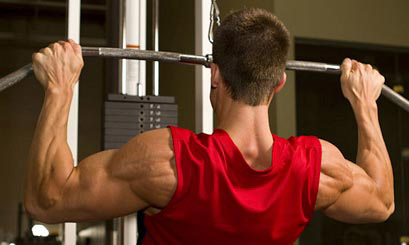 back workouts for mass