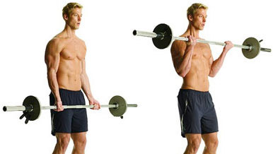 bicep peak exercise