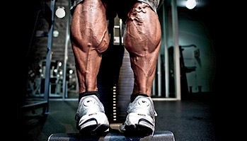 The 5 Best Calf Exercises For Mass + Sample Calf Workouts