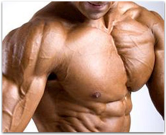 Your Complete Chest Workout For Mass