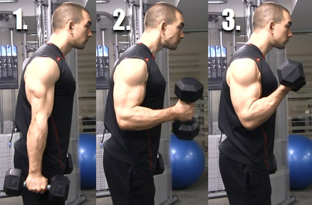 dumbbell curl form