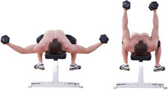 flat dumbbell chest flye