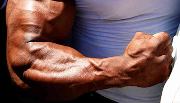 forearm workout for mass