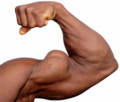 huge biceps
