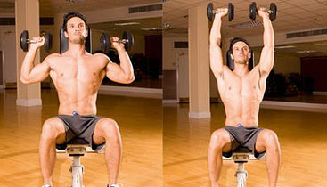 seated overhead dumbbell presses