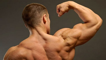 creatine water weight