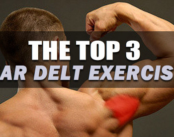 best rear deltoid exercises