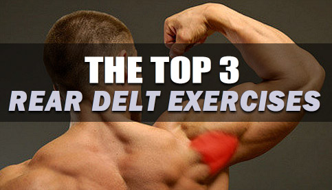 best rear deltoid exercises