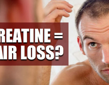 creatine and hair loss