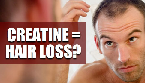 creatine and hair loss