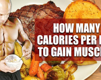 calories to gain muscle