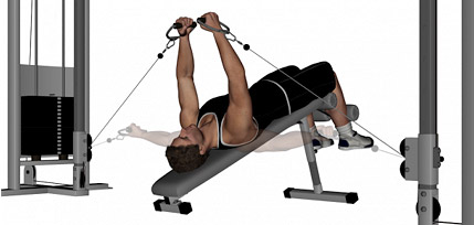 lower pec exercises