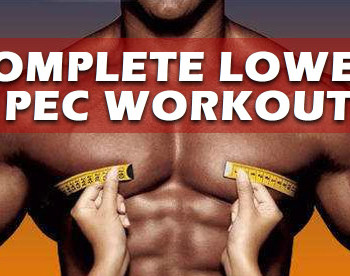 lower pec workout