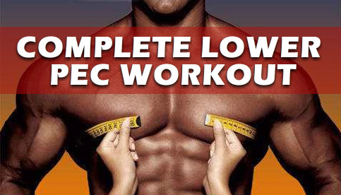 Complete Lower Pec Workout For A Bigger Chest