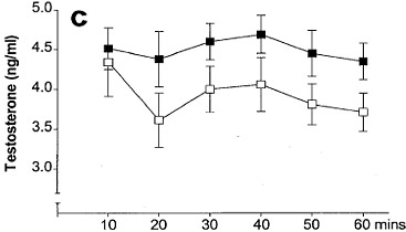 masturbation and testosterone