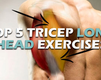 tricep long head exercises