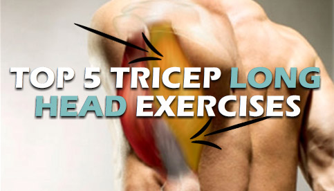 tricep long head exercises