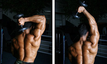 tricep long head workout