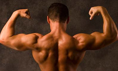 build a bigger back