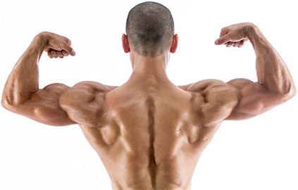 build wider lats