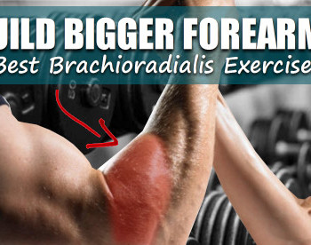 brachioradialis exercises