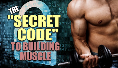 muscle building secrets