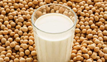 soy protein estrogen