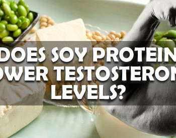 soy protein testosterone