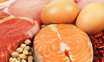 fat loss protein and fat sources