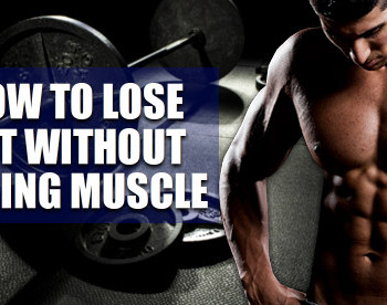 lose fat without losing muscle