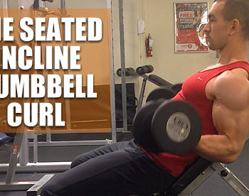 seated incline dumbbell curl