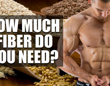 bodybuilding fiber intake