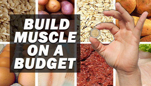 Cheapest Muscle Building Foods: Gain Muscle on a Budget