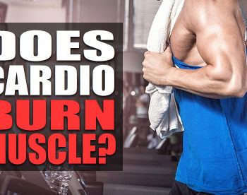 does cardio burn muscle