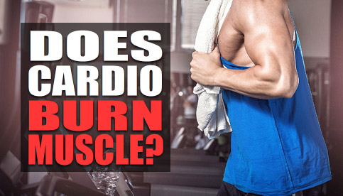 Will cardio burn muscle outlet