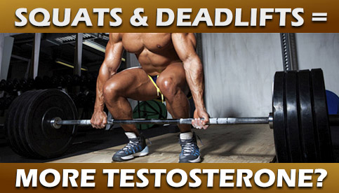 squats deadlifts testosterone