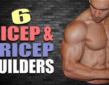 bigger biceps and triceps