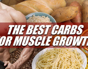 bodybuilding carbs