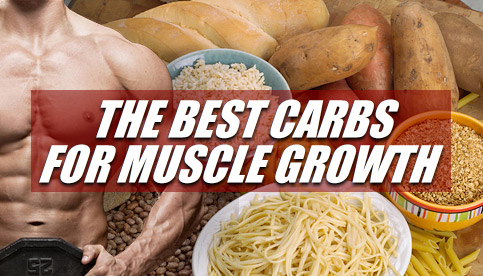 bodybuilding carbs