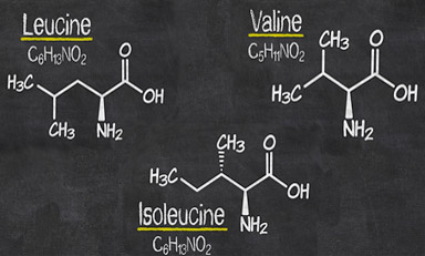 branched chain amino acids