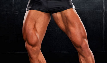 build big legs