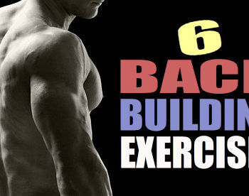 muscular back exercises