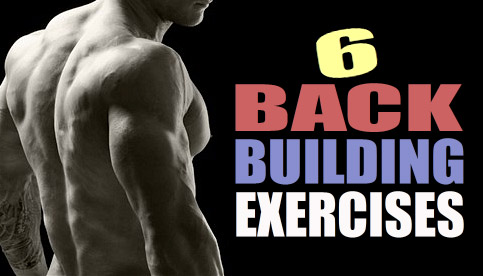 muscular back exercises