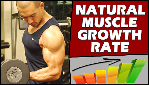 how much muscle can you build naturally