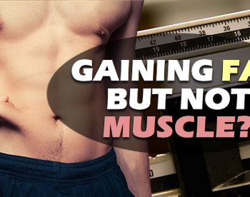 gaining fat but not muscle