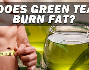 does green tea burn fat