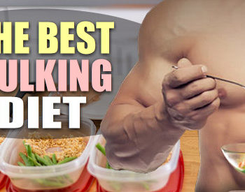 best bulking diet